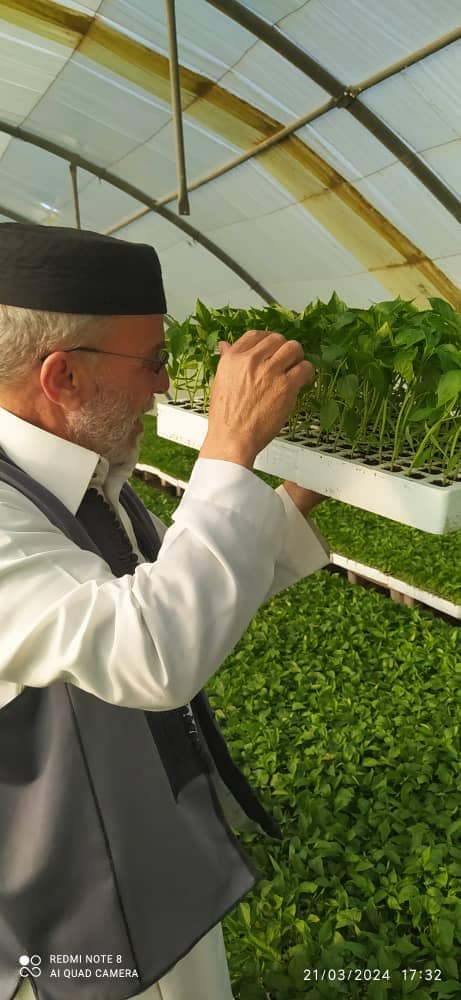 فرز المحاصيل